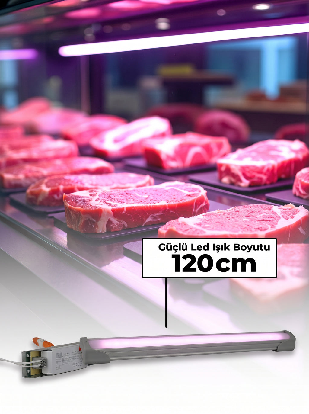 REYONLED™ 120 CM